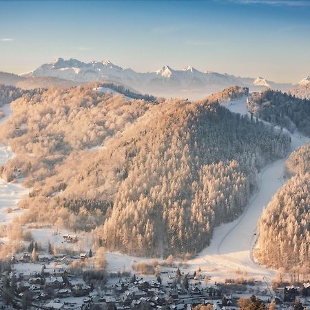Chalet Villa Pod Jemiola Szczawnica Bagian luar foto