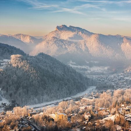 Chalet Villa Pod Jemiola Szczawnica Bagian luar foto