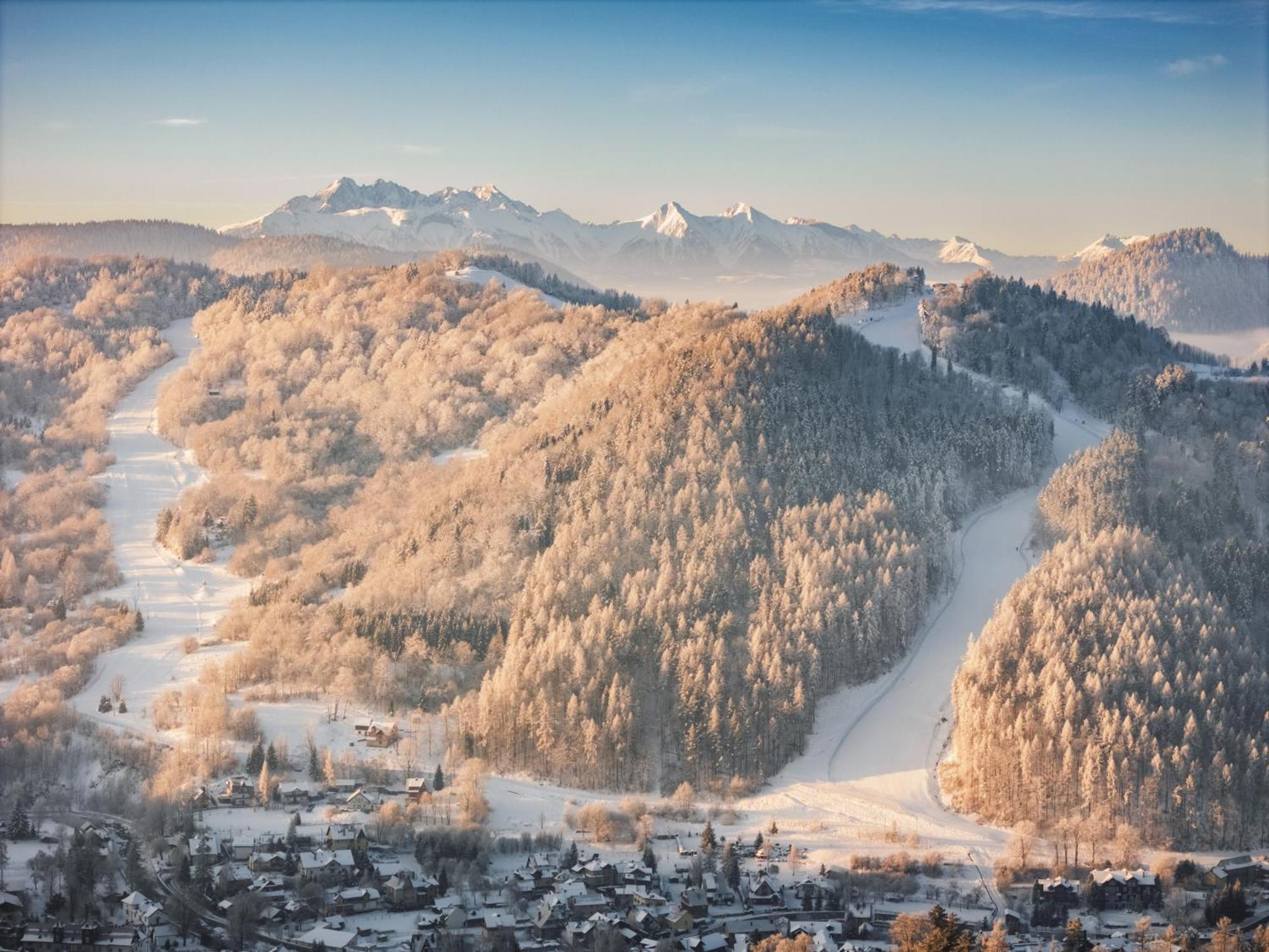 Chalet Villa Pod Jemiola Szczawnica Bagian luar foto