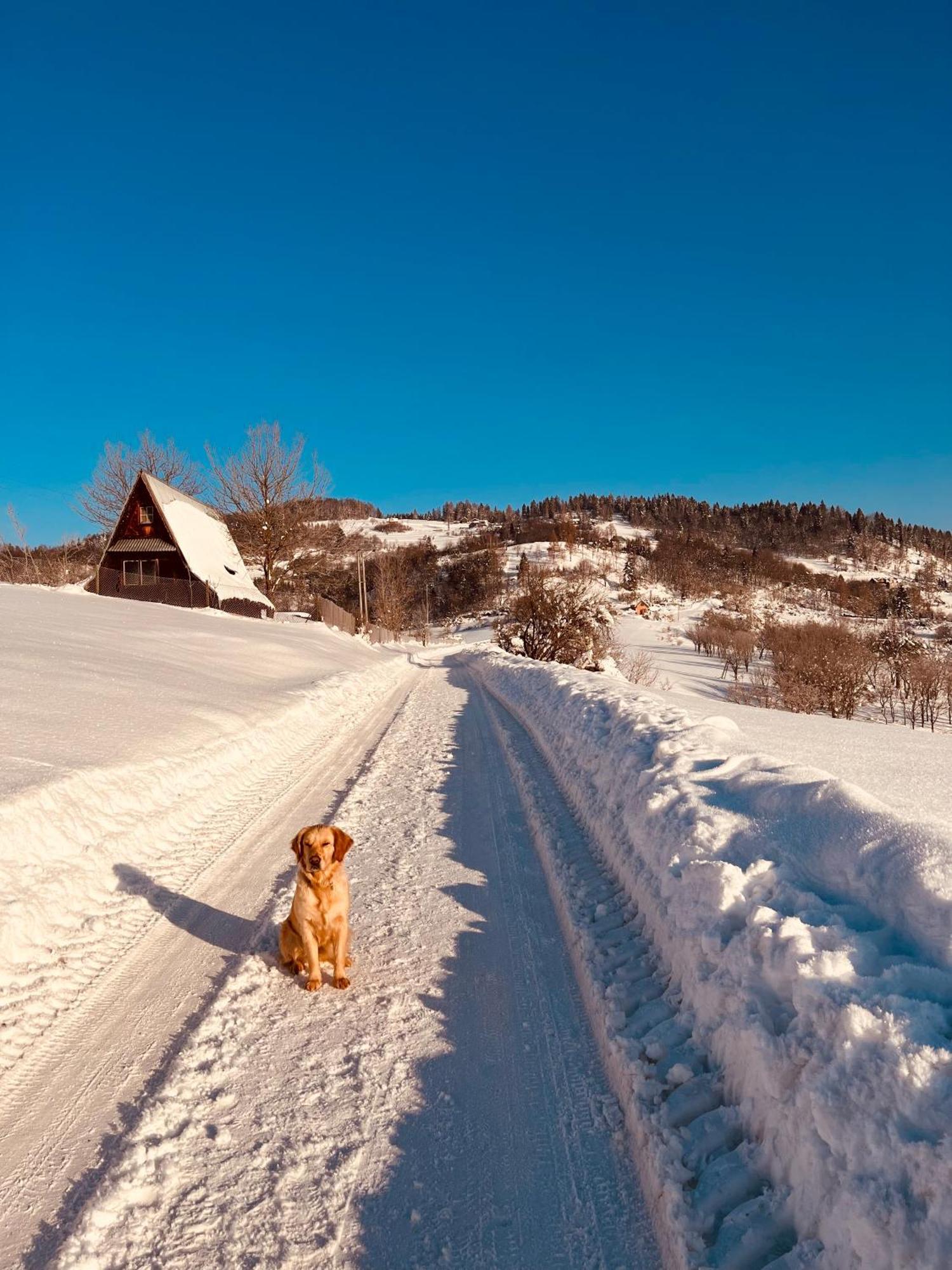 Chalet Villa Pod Jemiola Szczawnica Bagian luar foto
